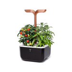 Mr Fothergill's Copper Veritable EXKY Smart Indoor Garden