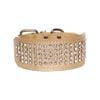 Cottonmore Dog Leather Collar Five Row Blingbling Rhinestones Diamante Collar Gold - L