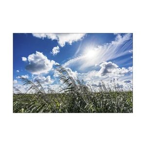 Artey | Cloud Painting - Stretched Canvas - Stretched Canvas - 40 x 60cm