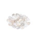 Tuscan Path 10KG 15-20mm High Polish White Pebble 