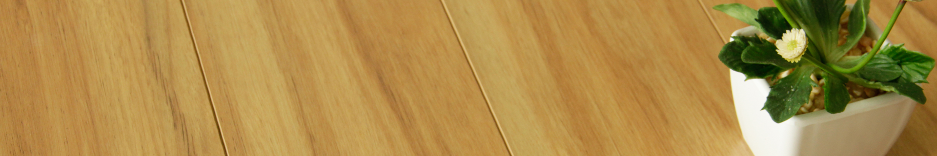 Timber flooring with plant.