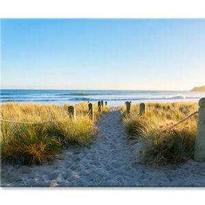 Bollards And Grassy Dunes  Print 100% Australian Made 150 x 100cm  (Stretched)