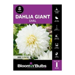 Bloomin Bulbs Dahlia Earl - 1 Pack