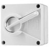 DETA IP66 Weatherproof 40A Double Pole Isolator