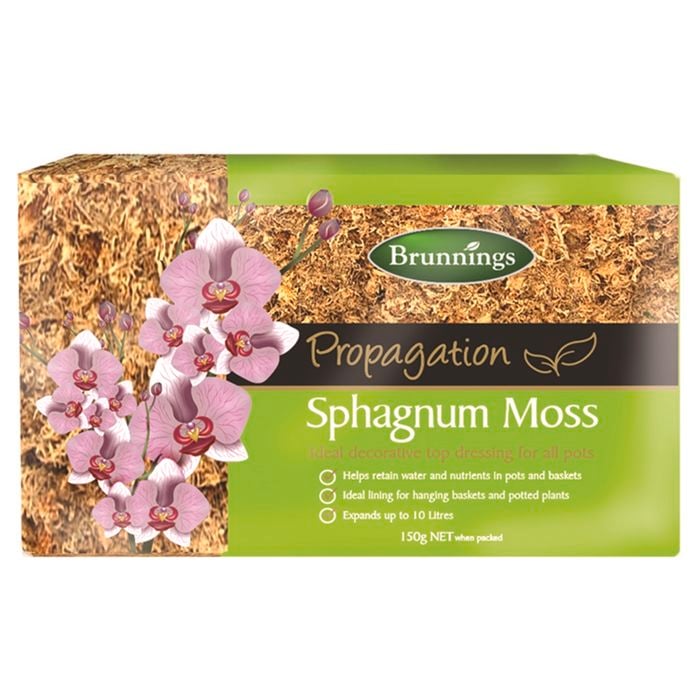 Brunnings 150g Sphagnum Moss Block