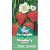 Fothergill's Strawberry Temptation Seeds