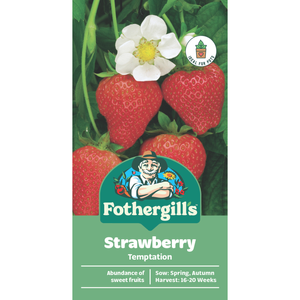 Fothergill's Strawberry Temptation Seeds