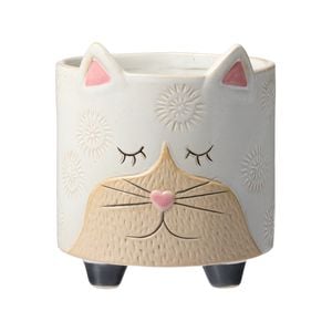 Northcote Pottery 12 x 12cm White Cat Pot