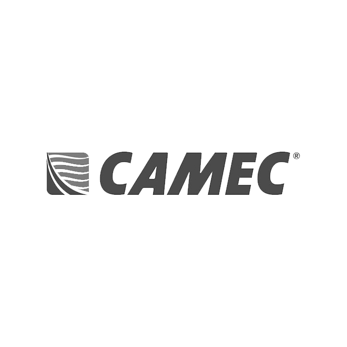 CAMEC
