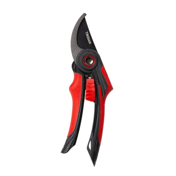 Trojan Bypass Pruner