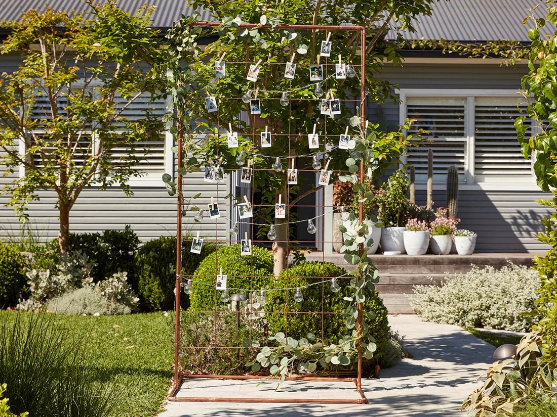 A D.I.Y. photo booth set up in a leafy and green backyard setting.