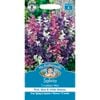 Mr Fothergill's Salvia Tricolour Mix Flower Seed
