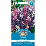Mr Fothergill's Salvia Tricolour Mix Flower Seed