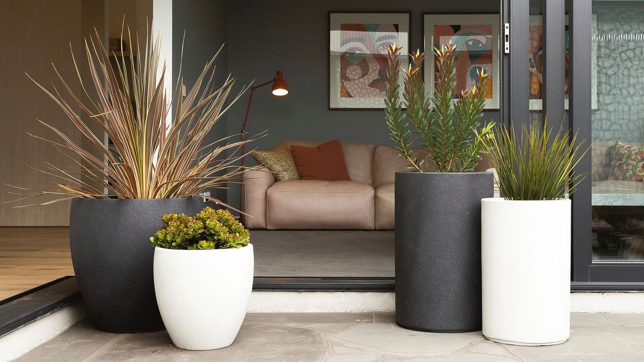 Several large plant pots in the corner of an outdoor paved area.