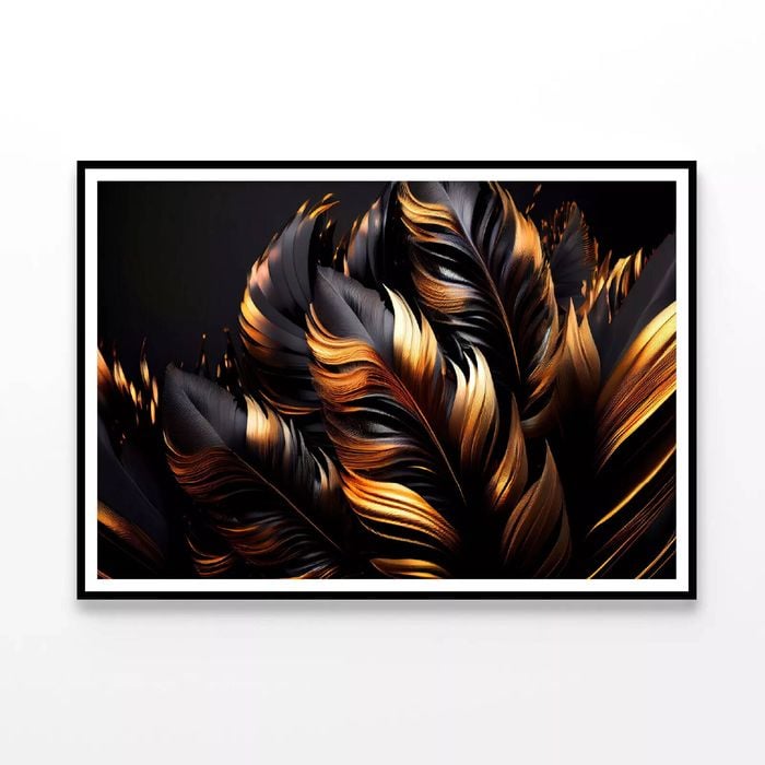 Black and Gold Feathers  Print 100% Australian Made 90x60cm  (Poster)