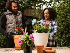 Man and Women smiling as they plant some pot plants in white and terracotta pots