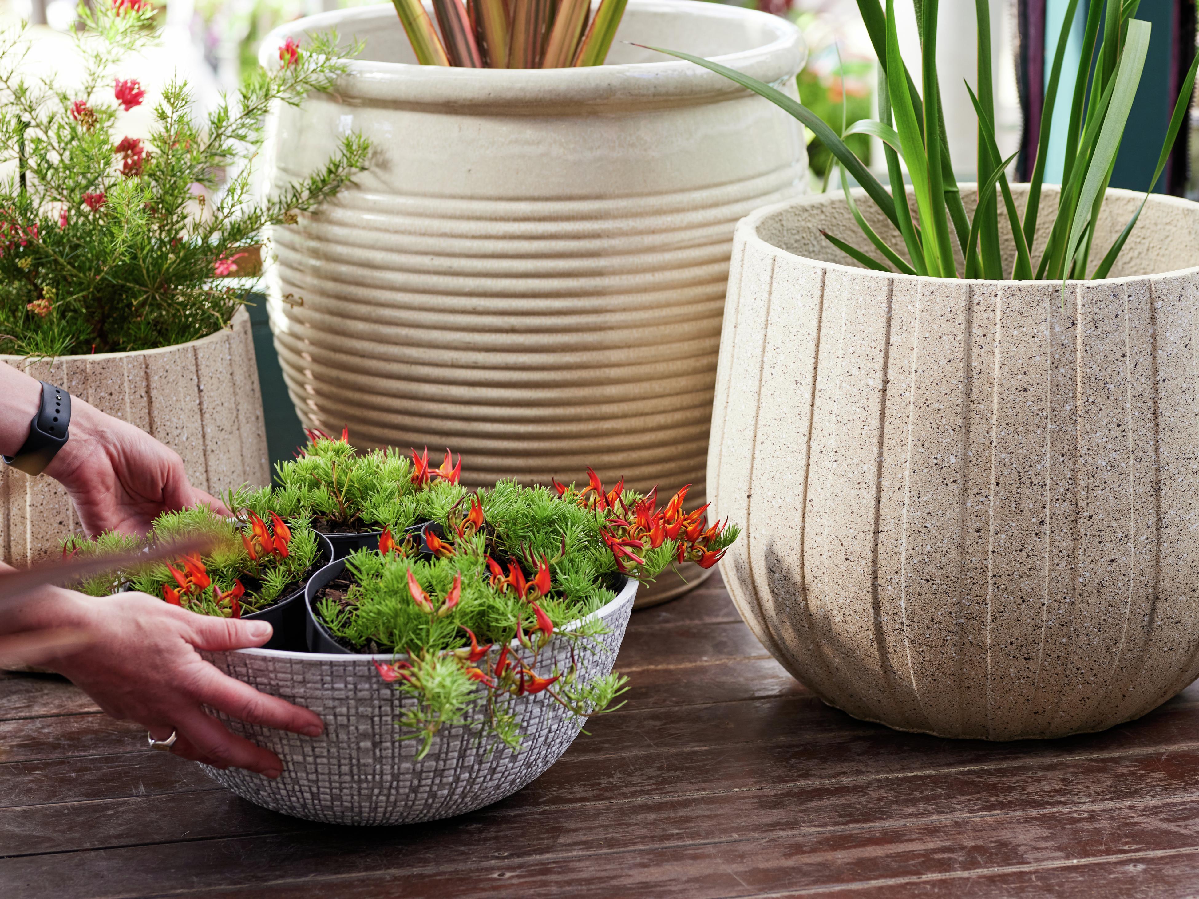 Bunnings outdoor pots discount