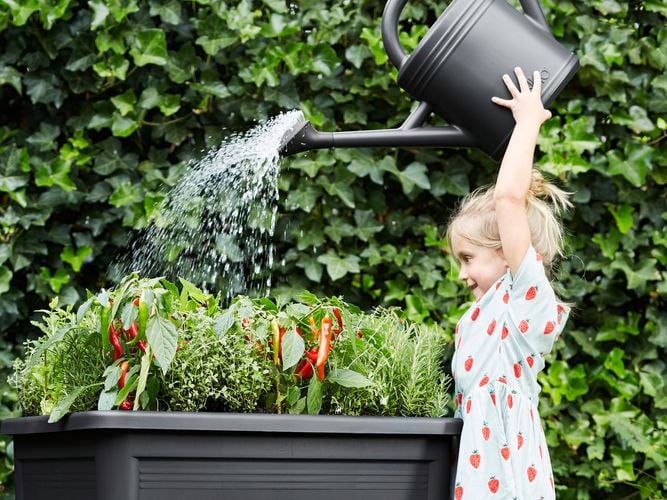 Outdoor pot garden bed 0168604