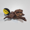 Dymax Driftwood - Nano (DM709)