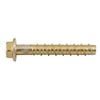 Ramset 10 x 75mm Zinc AnkaScrew Masonry Anchor