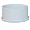 Tuscan Path 15cm White Ava Succulent Pot With Saucer