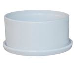 Tuscan Path 15cm White Ava Succulent Pot With Saucer
