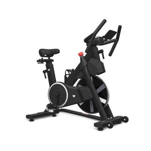 Lifespan Fitness SM-420 Spin Bike Exercise Bike Auto Resistance