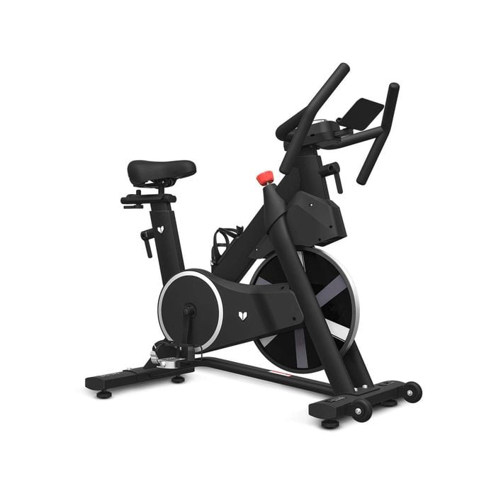 Lifespan Fitness SM-420 Spin Bike Exercise Bike Home Gym Workout