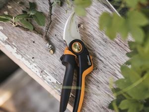 Fiskars pruners sitting on wooden plank with a branch of leaves.
