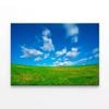 Grassland and Blue Sky  Print 100% Australian Made 75 x 50cm  (Stretched)