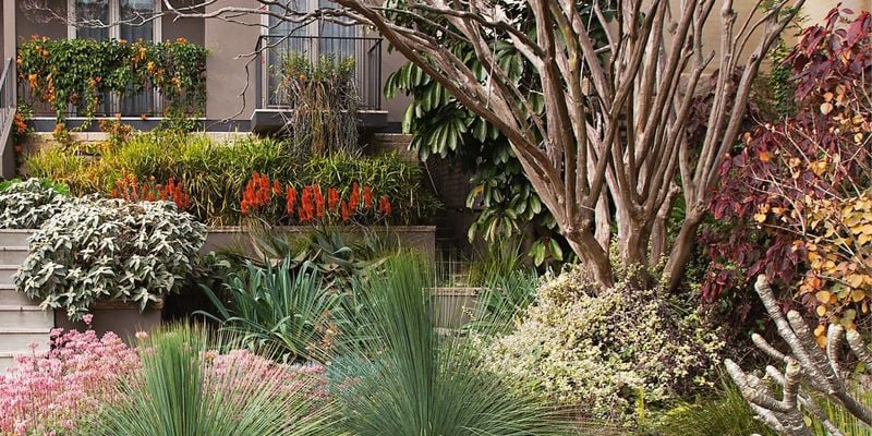 A front yard garden bed with a large bare tree
