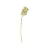 65cm Green Orchid Artificial Flower