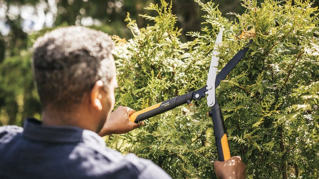 Person using Fiskar hedge shears to trim bushes