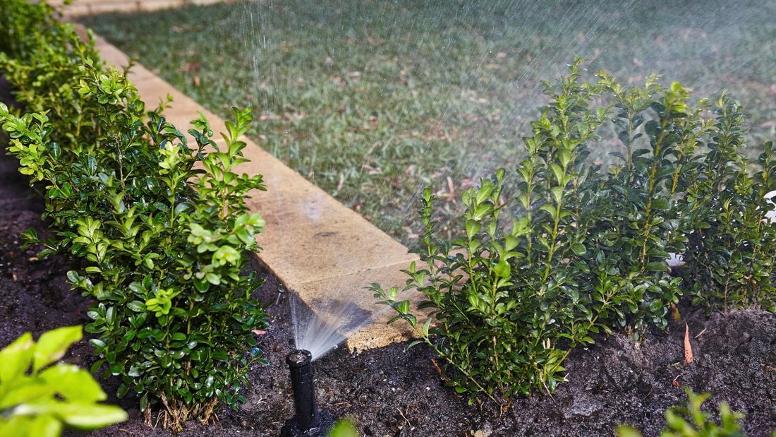 An automated garden sprinkler in action