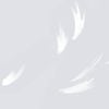 Wallpaper Trader Falling Feather, Grey