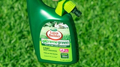 Bottle of lawn fertiliser