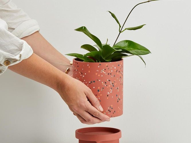 Tri Pot - Terrazzo Dusty Rose w hands