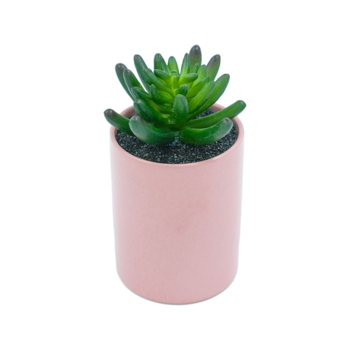 UN-REAL 15cm Pink Artificial Succulent