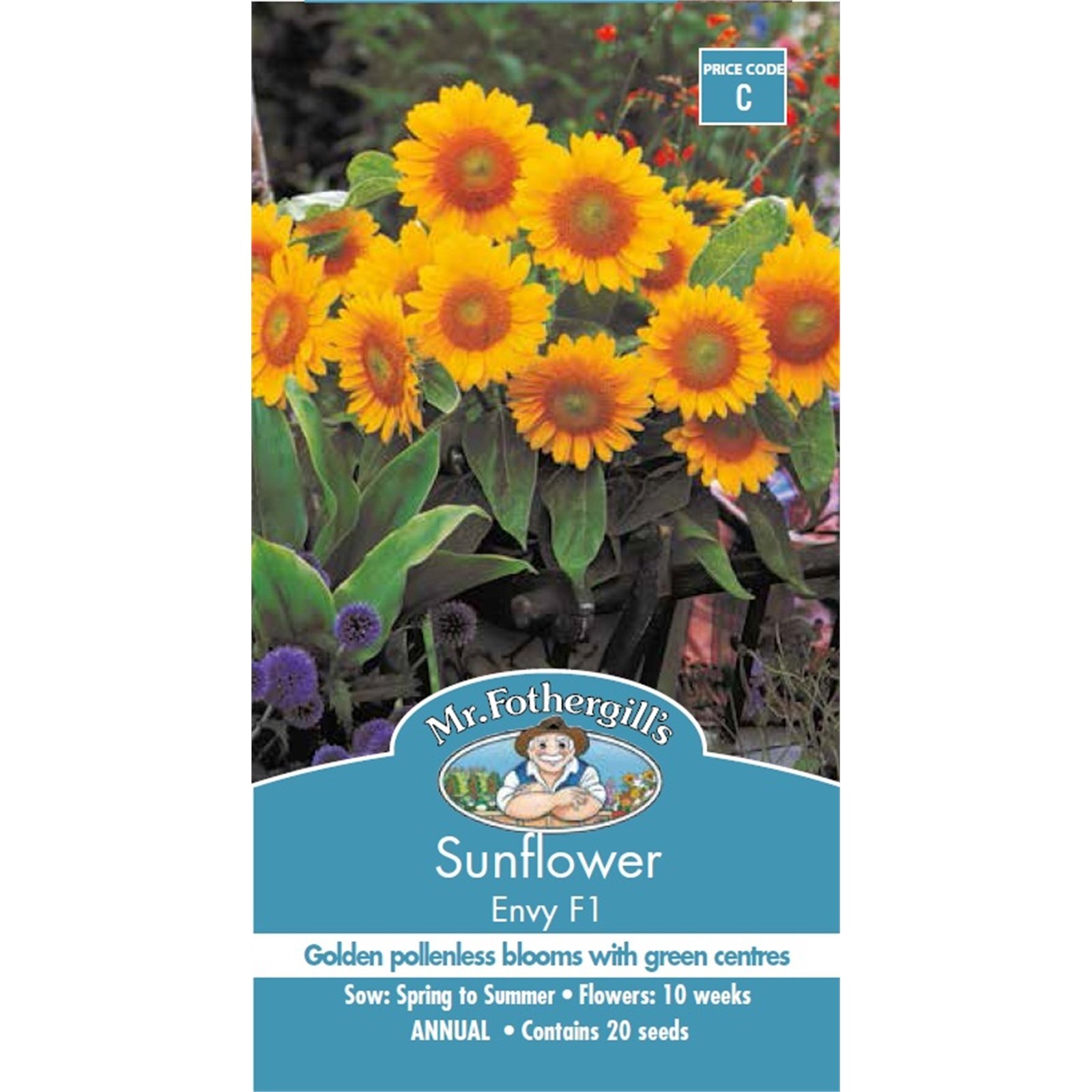 Blanket flower bunnings sale