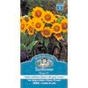 Mr Fothergill's Seed Sunflower Envy F1