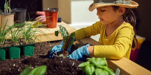 Get little ones into planting, growing and harvesting and you’ll set them up with a healthy hobby for life.