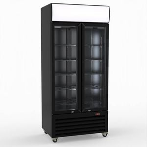 Thermaster Double Glass Door Colourbond Upright Drink Fridge Lg-580bp