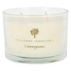 Soy Wax Scented Candle - 350g - Lemongrass - Double Wick Glass Jar - Fruity Summer Scent Long Burn Fragrance