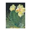 Artey | Cactus II - Stretched Canvas - Stretched Canvas - 112 x 150cm