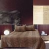Rapee Faux Silk Coverlet Set Zig Zag Brown - Queen