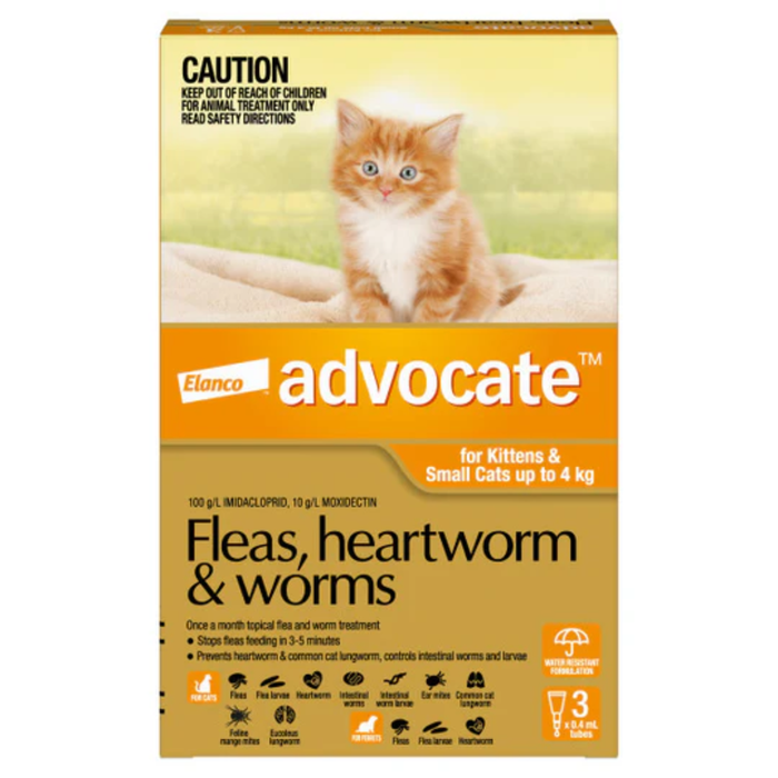 Advocate For Cats Flea and Worming Spot-On Up To 4kg - 3 Pack
