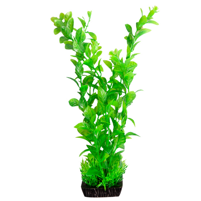 Aqua One Ecoscape Large Hygro Green (28285)