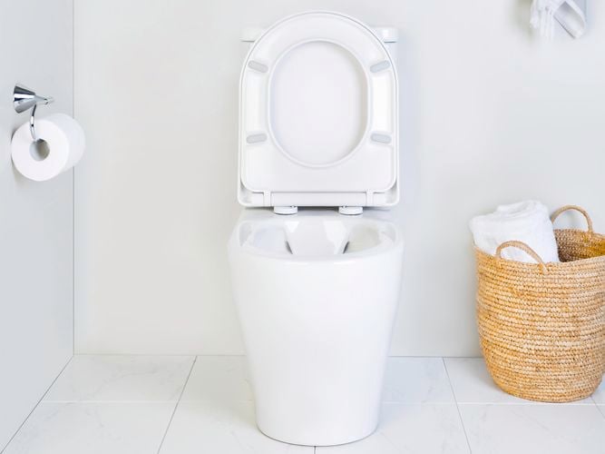 toilet in a bathroom