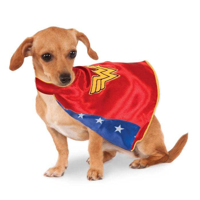 Dc Comics Wonder Woman Justice League Cape Pet Pet Dress Up Costume Size Xs