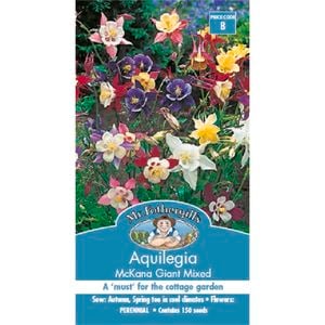 Mr Fothergill's Aquilegia Mckana Giant Mixed Seeds